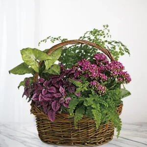 BLOOMING BASKET DELUXE