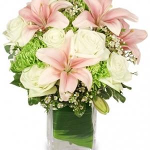 HEAVENLY GARDEN BLOOMS